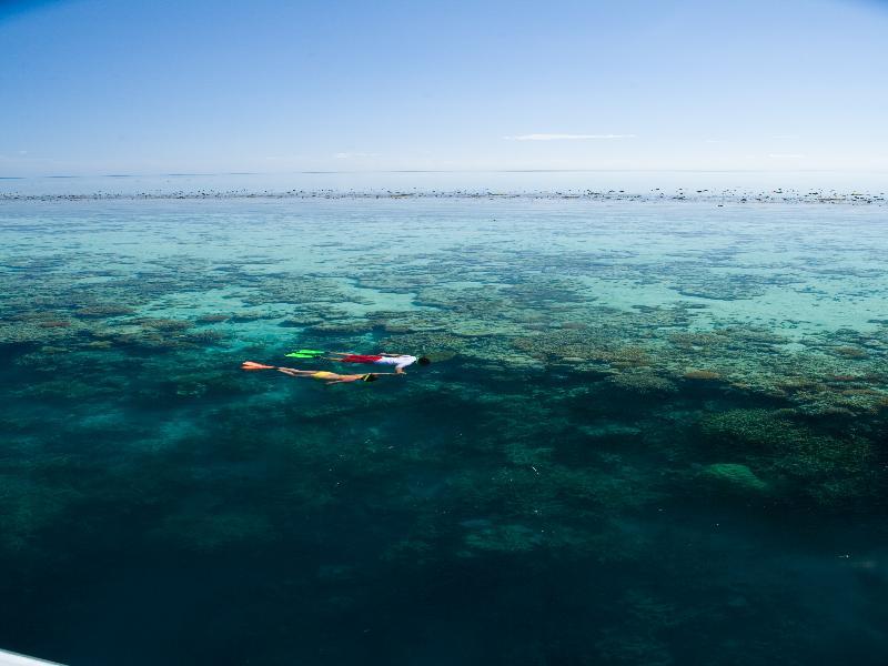 Palm Bungalows เกาะแฮมิลตัน ภายนอก รูปภาพ