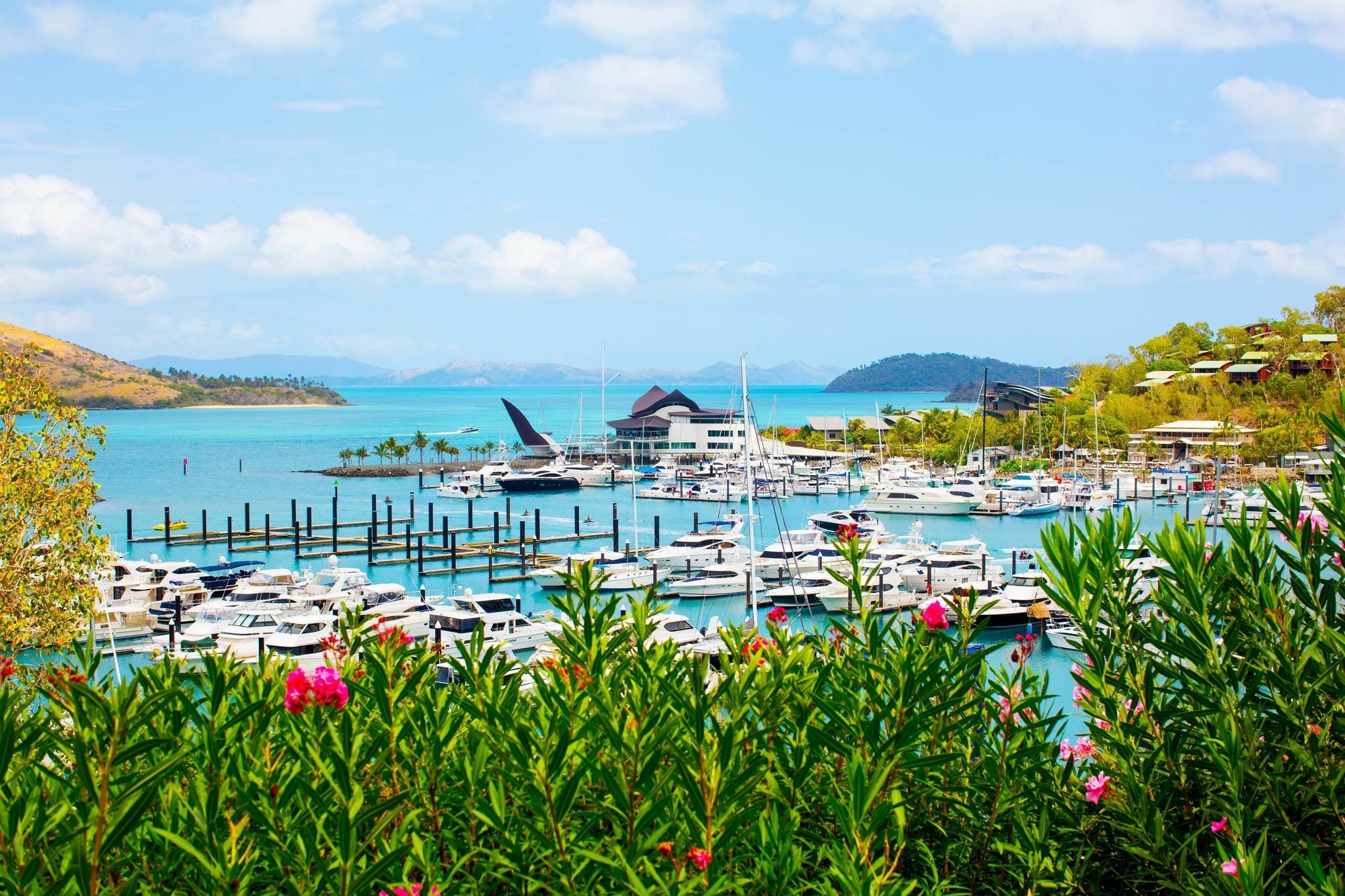 Palm Bungalows เกาะแฮมิลตัน ภายนอก รูปภาพ