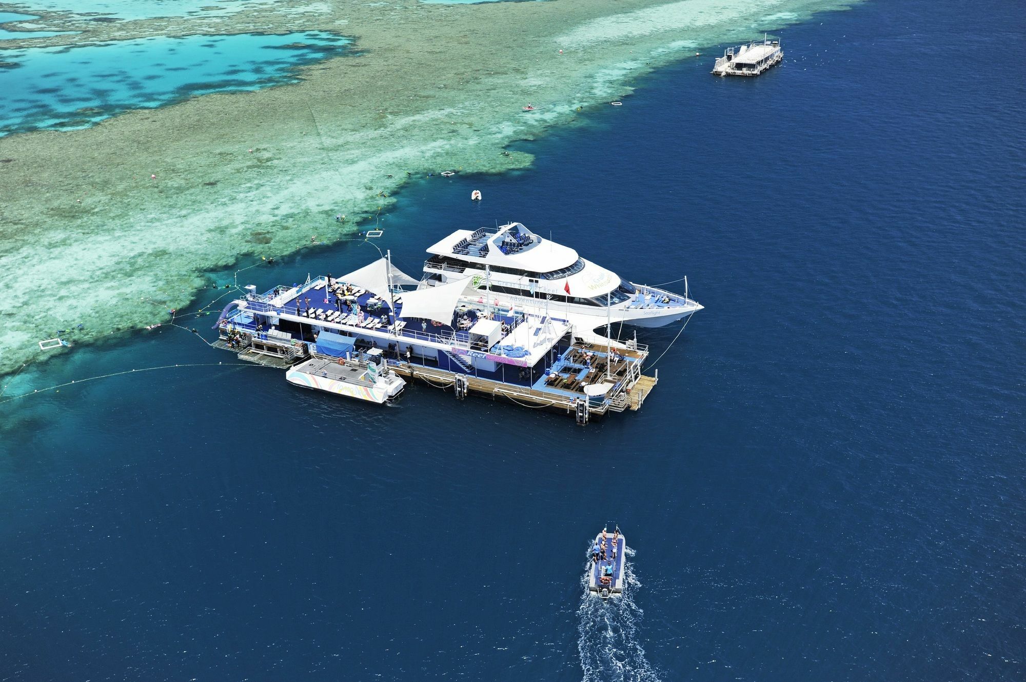 Palm Bungalows เกาะแฮมิลตัน ภายนอก รูปภาพ