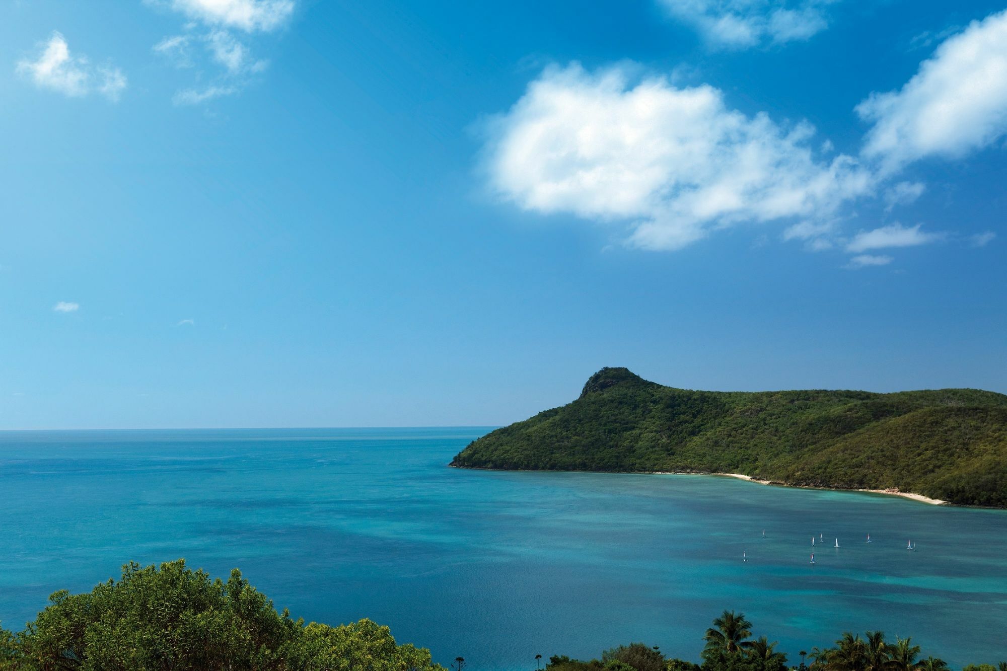 Palm Bungalows เกาะแฮมิลตัน ภายนอก รูปภาพ