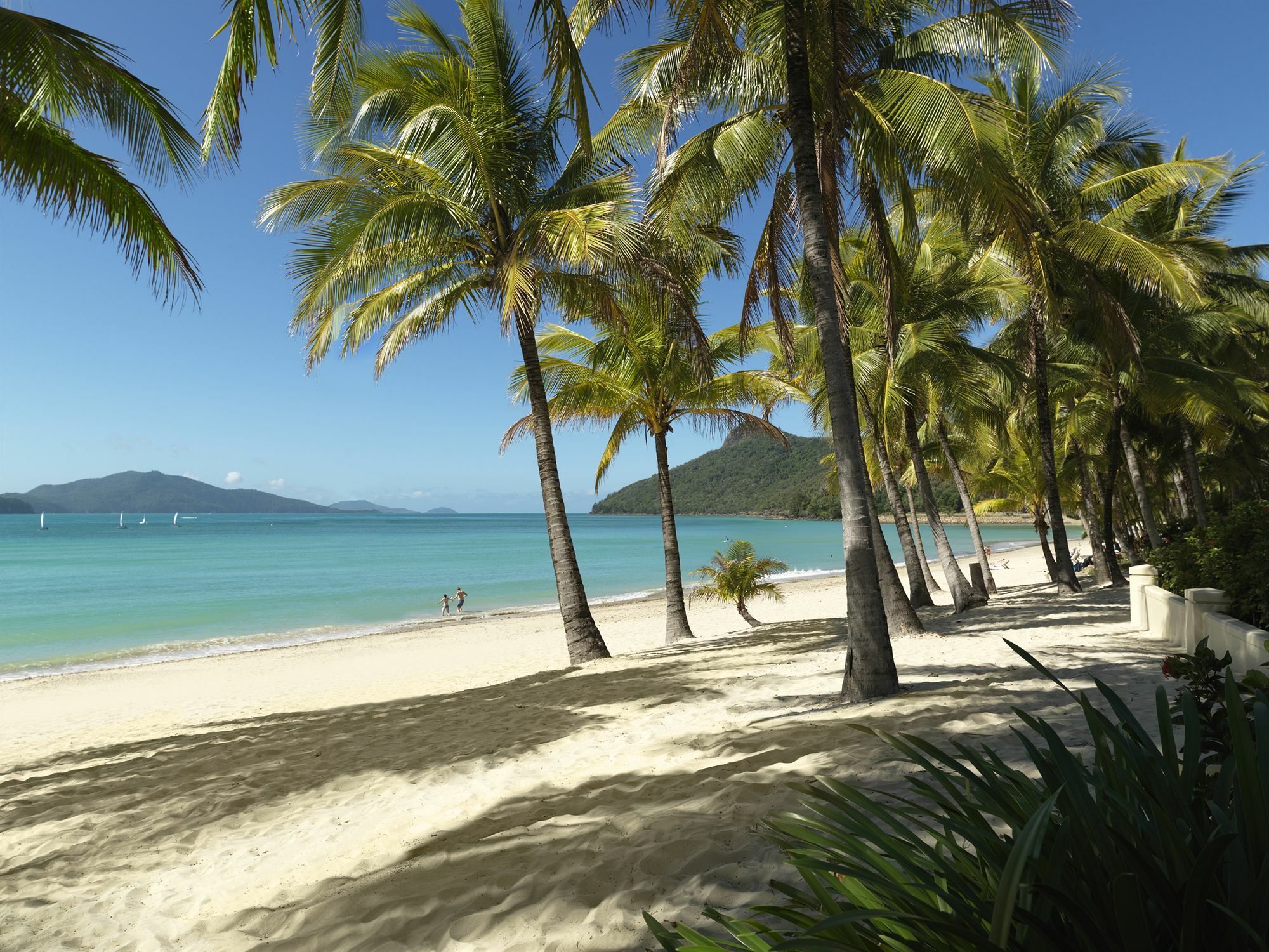 Palm Bungalows เกาะแฮมิลตัน ภายนอก รูปภาพ
