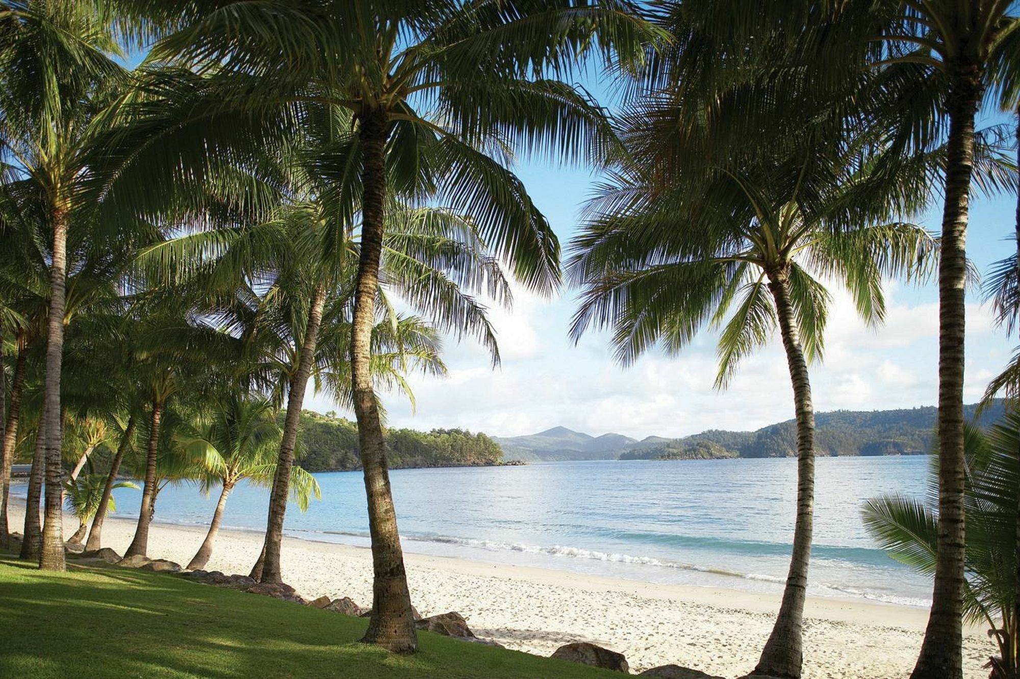 Palm Bungalows เกาะแฮมิลตัน ภายนอก รูปภาพ