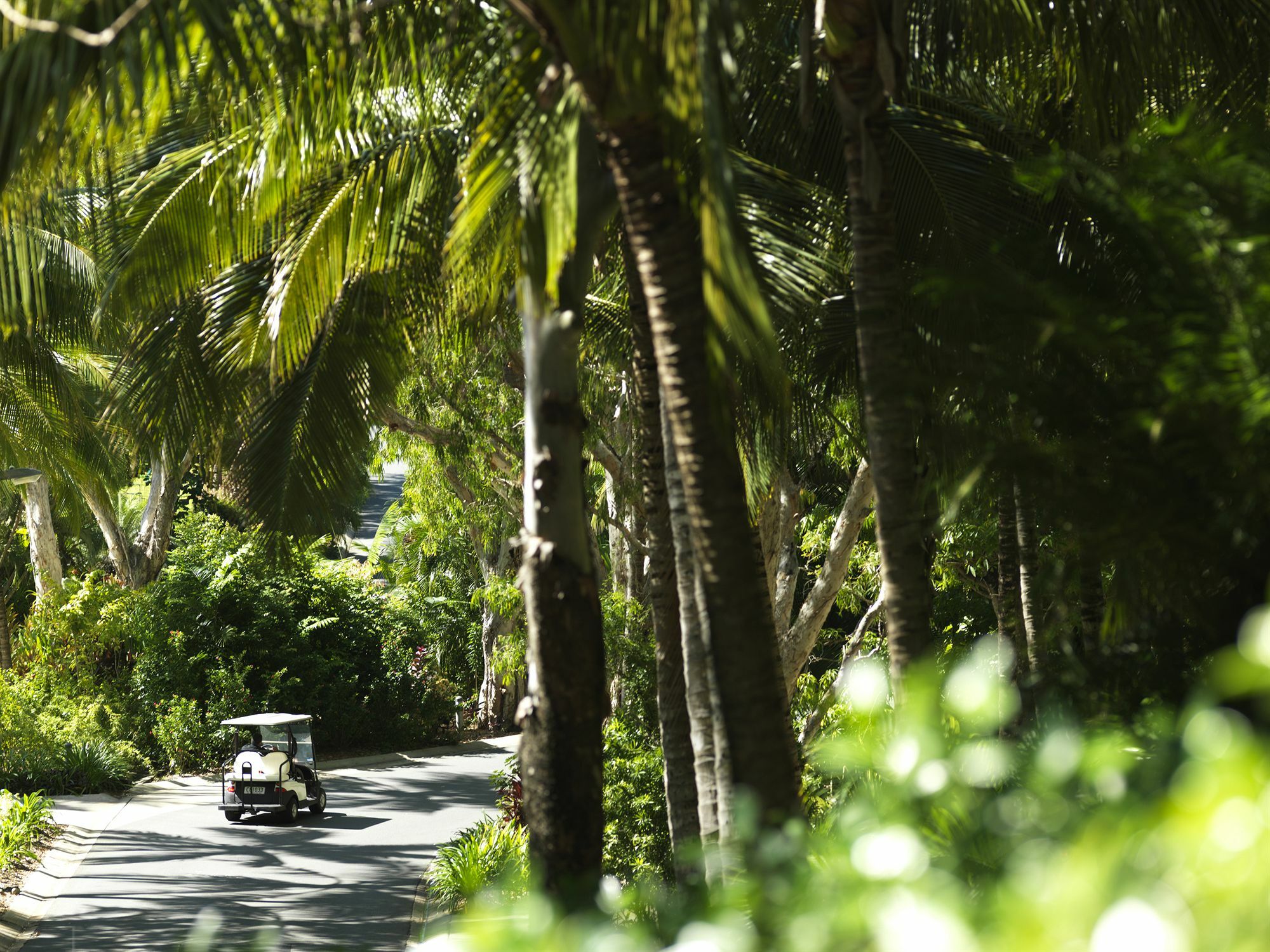 Palm Bungalows เกาะแฮมิลตัน ภายนอก รูปภาพ